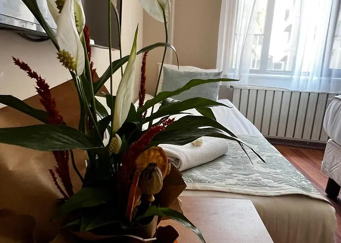 Hotel Park Star Taksim Istanbulská provincie